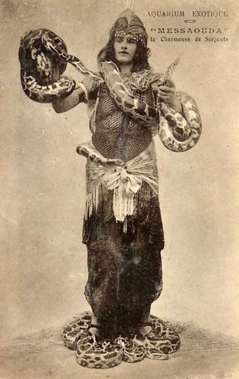 Snake Charmer
