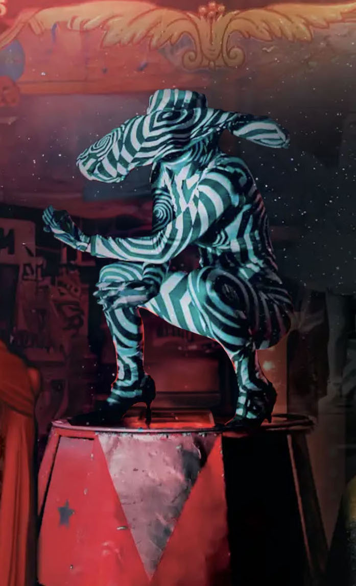 Zebra Man